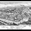 Avec le début de l’industrialisation, les « Eisenwerke Gaggenau A.G. », à l’origine de l’entreprise Gaggenau, produisent des machines agricoles, des pièces métalliques et des outils.