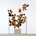 « Vase Portale 01 », en céramique (50 x 50 x P 10 cm), création Andrea Branzi, 2007, collection du Grand-Hornu.