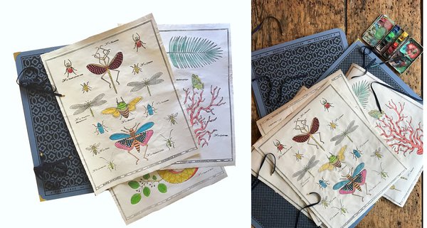 Planches de botanique et carton à dessin fabriqués par la dominoterie pour l’illustrateur Marin Montagut.