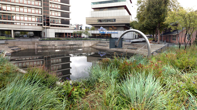 Bassins du Watersquare, qui permettent à l’eau de pluie d’être filtrée en amont. Elle sort de tuyaux de descente apparents, puis est dirigée vers des canaux en acier inoxydable. Les plantations environnantes profitent de la récupération des eaux. Création de l’agence d’architecture De Urbanisten, Rotterdam, Pays-Bas. Création de l’agence d’architecture De Urbanisten, Rotterdam, Pays-Bas. Catégorie Lauréats, L’eau et la ville, XIème Prix Européen d’Architecture Philippe Rotthier 2017.