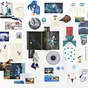 Automne, collage qui met en évidence la diversité du travail de Constance Guisset et ses inspirations multiculturelles : plantes, paysages, minéraux, graphismes, œuvres d’art et sculptures comme Tête de taureau de Pablo Picasso.