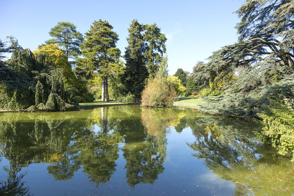 Le jardin du Trocadéro.