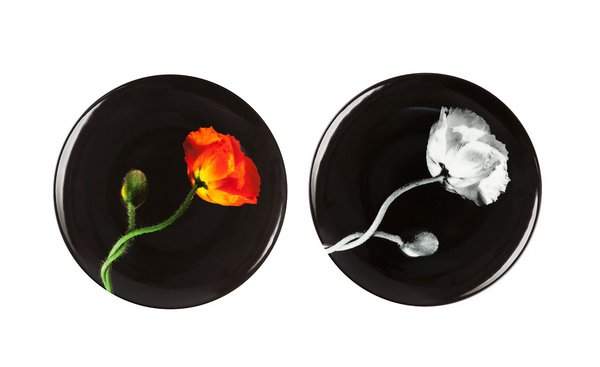 Assiette en porcelaine de Limoges, représentant l’œuvre Poppy en noir et blanc ou couleur de Robert Mapplethorpe, une photo réalisée en 1988. Modèle Fleur de Pavot, diamètre : 21 cm, 80 €, l’une, chez Ligne Blanche.