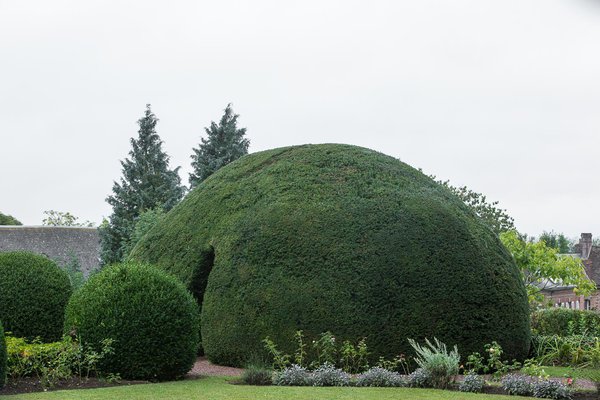Au cœur du jardin, trône l’if igloo, classé arbre remarquable. Telle une chambre des secrets, il permet d’accéder au jardin potager situé en contrebas. Il est entretenu comme un précieux bonsaï géant.
