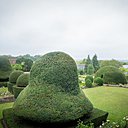 Ce jardin, vert et graphique toute l’année, offre 7 ifs monumentaux symétriques, aux formes curieuses et impressionnantes.