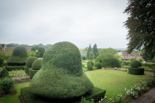 Ce jardin, vert et graphique toute l’année, offre 7 ifs monumentaux symétriques, aux formes curieuses et impressionnantes.