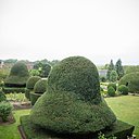 Les ifs sont accompagnés de Viburnum tinus ou Laurier tin et de rosiers de différentes variétés : « Château de Bertangles® » qui décline les tons orangés, « Covent Garden® » couleur crème ambrée au charme anglais, « Jules Verne® » à grandes fleurs jaunes ourlées de rose, « Christopher Marlowe » à rosettes évoluant du rouge-orangé au rose saumoné.