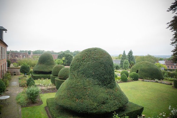 Les ifs sont accompagnés de Viburnum tinus ou Laurier tin et de rosiers de différentes variétés : « Château de Bertangles® » qui décline les tons orangés, « Covent Garden® » couleur crème ambrée au charme anglais, « Jules Verne® » à grandes fleurs jaunes ourlées de rose, « Christopher Marlowe » à rosettes évoluant du rouge-orangé au rose saumoné.