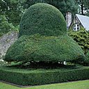 Le jardin accueille aussi des hortensias « hydrangeas » variés, « Limelight » à la couleur évoluant du blanc au rose, puis au rouge foncé en automne, « Magical Jade » blanc vert puis blanc rosé avec un liseré rouge et « White Dazzler », appelé aussi Oranger du Mexique. Il est aussi agrémenté d’un potager cultivé en permaculture selon des pratiques inspirées de l’écologie naturelle et de la tradition.