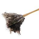 Traditionnel et parfait pour accéder aux endroits difficiles, plumeau en plumes d’autruche qui capture la poussière sans la déplacer. Modèle Origine, création Elephant, 9,99 €.