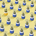Groww est une mini-serre pour petite plante grasse, cactus ou succulente. Ces parties basses imprimées en 3D sont recouvertes d’un petit bocal courant qui se visse tout simplement. Le pot intérieur peut contenir, la terre, les graines et l’eau.