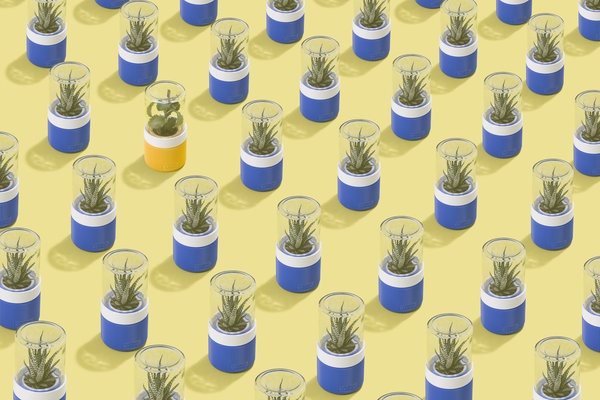 Groww est une mini-serre pour petite plante grasse, cactus ou succulente. Ces parties basses imprimées en 3D sont recouvertes d’un petit bocal courant qui se visse tout simplement. Le pot intérieur peut contenir, la terre, les graines et l’eau.