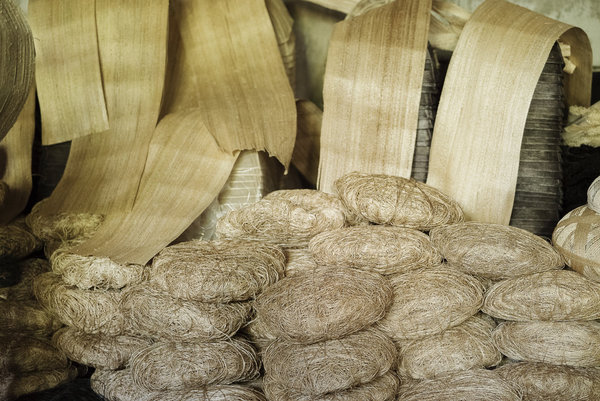 Matière première malléable, la plante de l’abaca est utilisée dans sa totalité. De la tige à la feuille, les fibres sont séchées au soleil.