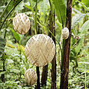 Les lampes poétiques du designer Ano Pairot sont une ode à la nature, réalisées entièrement à la main dans le respect de la production artisanale.