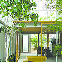 Rez-de-chaussée de la House with Plants, maison–jardin composant un véritable paysage intérieur. Cette habitation privée, construite pour un couple de jeunes mariés dans l’est du Japon, est percée de larges ouvertures en verre.