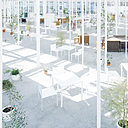 A l’intérieur de l’atelier des étudiants de l’Institut de Technologie de Kanagawa (KAIT), l’apparente irrégularité des colonnes délimite les espaces de travail sans les cloisonner.