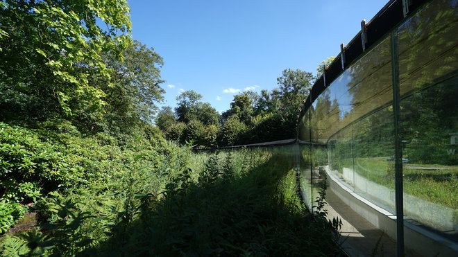 Le centre d’accueil des visiteurs du Park Groot Vijversburg aux Pays-Bas, dépourvu de colonnes, repose sur de simples parois de verre dont la courbe assure à elle seule la stabilité de la structure. Le centre d’accueil des visiteurs du Park Groot Vijversburg aux Pays-Bas, dépourvu de colonnes, repose sur de simples parois de verre dont la courbe assure à elle seule la stabilité de la structure.