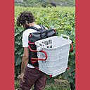 Projet de la designer Sara de Campos qui a revisité la hotte du vendangeur.