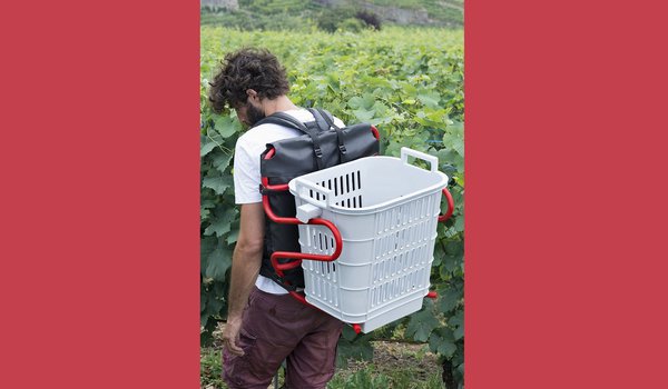 Projet de la designer Sara de Campos qui a revisité la hotte du vendangeur.