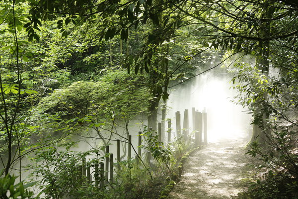 Jardins des nuées qui s’attardent. Création Wang Shu, Festival des Jardins, 2018.