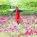 « De l’autre côté du miroir », jardin créé en 2017, par Nicolas et Alice Stadler, designer et architecte d’intérieur en collaboration avec l’architecte d’intérieur Thierry Giraut, transforme la nature en une mer de fleurs et de couleurs infinies.