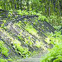 Encore une création française de 2017 : jardin « Phoenix » qui renaît de ses cendres. Il compose un micro-paysage de bois et de terre, sculpté et architecturé qui attend la germination.