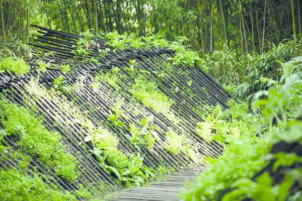 Encore une création française de 2017 : jardin « Phoenix » qui renaît de ses cendres. Il compose un micro-paysage de bois et de terre, sculpté et architecturé qui attend la germination.