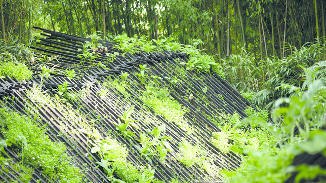 Encore une création française de 2017 : jardin « Phoenix » qui renaît de ses cendres. Il compose un micro-paysage de bois et de terre, sculpté et architecturé qui attend la germination.