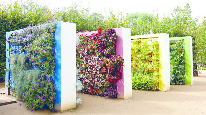 Jardin italien « Monochrome blanc » composé d’une enfilade de murs végétaux. Festival des jardins, 2017.