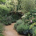 Création de La French Fine Fleur, en 2017, « Jardin pluriel et singulier » qui a rassemblé 20 pépiniéristes pour rendre hommage à la beauté des fleurs.