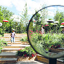 Un jardin féminin réalisé par une équipe française en 2017, « L’Agora ». 50 ans après, il évoque la lutte pacifiste du « Flower Power » contre la guerre du Vietnam.