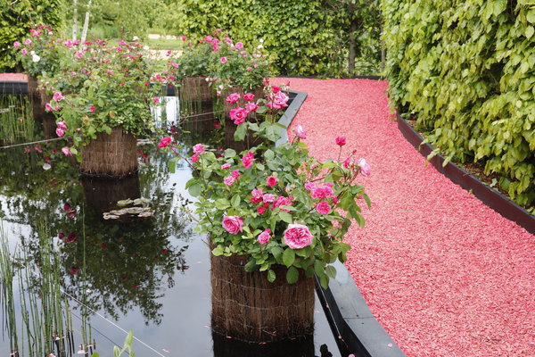 Là où les roses sont des reines, jardin « Les Belles eaux dormantes », un espace permanent créé en 2017 par l’architecte-paysagiste Sylvestre Lieuter.