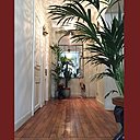 Une vraie entrée végétalisée qui annonce le thème choisi de la décoration.