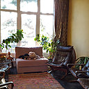 Le salon de l’appartement situé au second niveau est doté d’une cheminée.