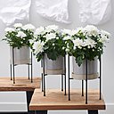 Chrysanthème blanc symbole d’un amour pur, un amour détaché de toute autre pensée.