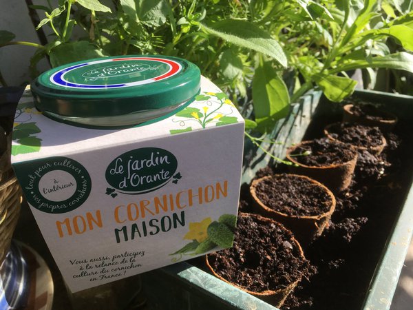 Le petit kit du jardin se présente en bocal de verre contenant 3 palets coco, graines de cornichons, de moutarde, un sachet d'estragon séché et le mode d'emploi pour les voir pousser.