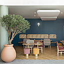 Dans la salle principale, un olivier a été planté dans une sorte de jarre à huile.