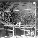 Un couple emblématique et une œuvre à 4 mains : Charles et Ray Eames qui ont révolutionné le design, posant sur la structure en acier de la Casa Study House n° 8, symbole de leur passion commune pour la modernité, qu’ils ont occupé à partir de 1949. Modern Print.