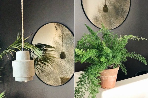 Les miroirs ronds valorisent l’espace et reflètent les plantations qui profitent d’une belle lumière naturelle.