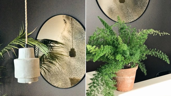 Les miroirs ronds valorisent l’espace et reflètent les plantations qui profitent d’une belle lumière naturelle.