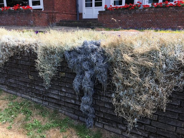 Sur un muret du jardin, une nappe de clous aimantés, une œuvre de Tatiana Wolska, s’immisce et se confond avec la végétation grimpante.