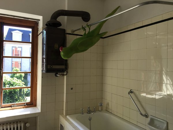 Dans la salle de bains, qui a conservé son chauffe-eau d’époque, une œuvre de Charlotte Vander Borght. Comme « le fou du roi qui se maquille dans la glace », selon les propres propos de Michel Van Dyck, cette œuvre a trouvé sa place sur la barre qui supporte le rideau de la baignoire.