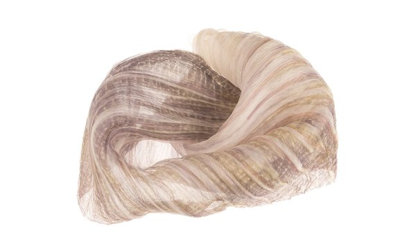 Commencement, création Ysabel de Maisonneuve.