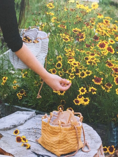 La cueillette des fleurs se fait en évitant de cueillir les coeurs et les tiges, juste les pétales pour une tonalité pure.