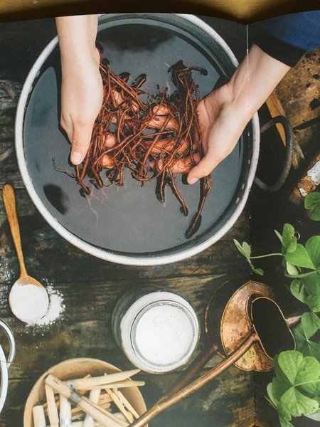 Teindre avec la garance, dont la gamme s'étend du rose au rouge ; le pigment rouge se trouve dans les racines, seules parties colorantes de la plante.