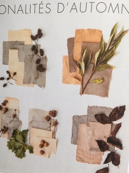 Cueillette d'automne cône d'aulne, saule commun, glands et gales de chêne, hêtre pourpre.