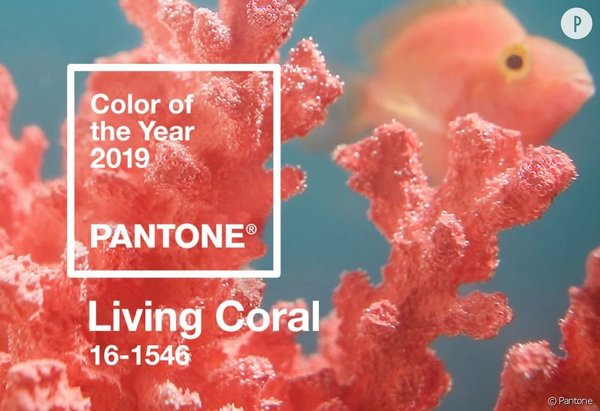Living Coral, élue couleur de l’année.