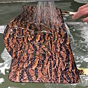 Phase de rinçage chaise après l'application du motif décoratif hydro dipping. Phase de rinçage chaise après l'application du motif décoratif hydro dipping.