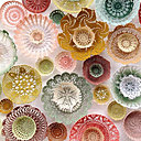 Voyage au pays des Couleurs végétales.