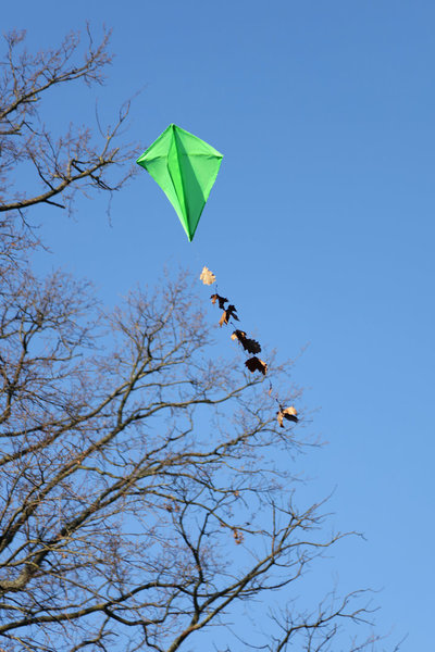 Le cerf volant peut être décoré de feuilles sur son fil de traîne.